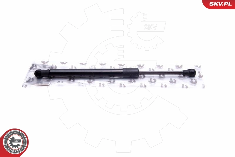 Gas Spring, boot/cargo area